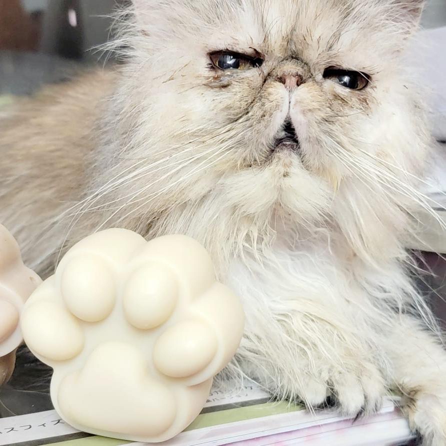 抗癢順毛寵物皂